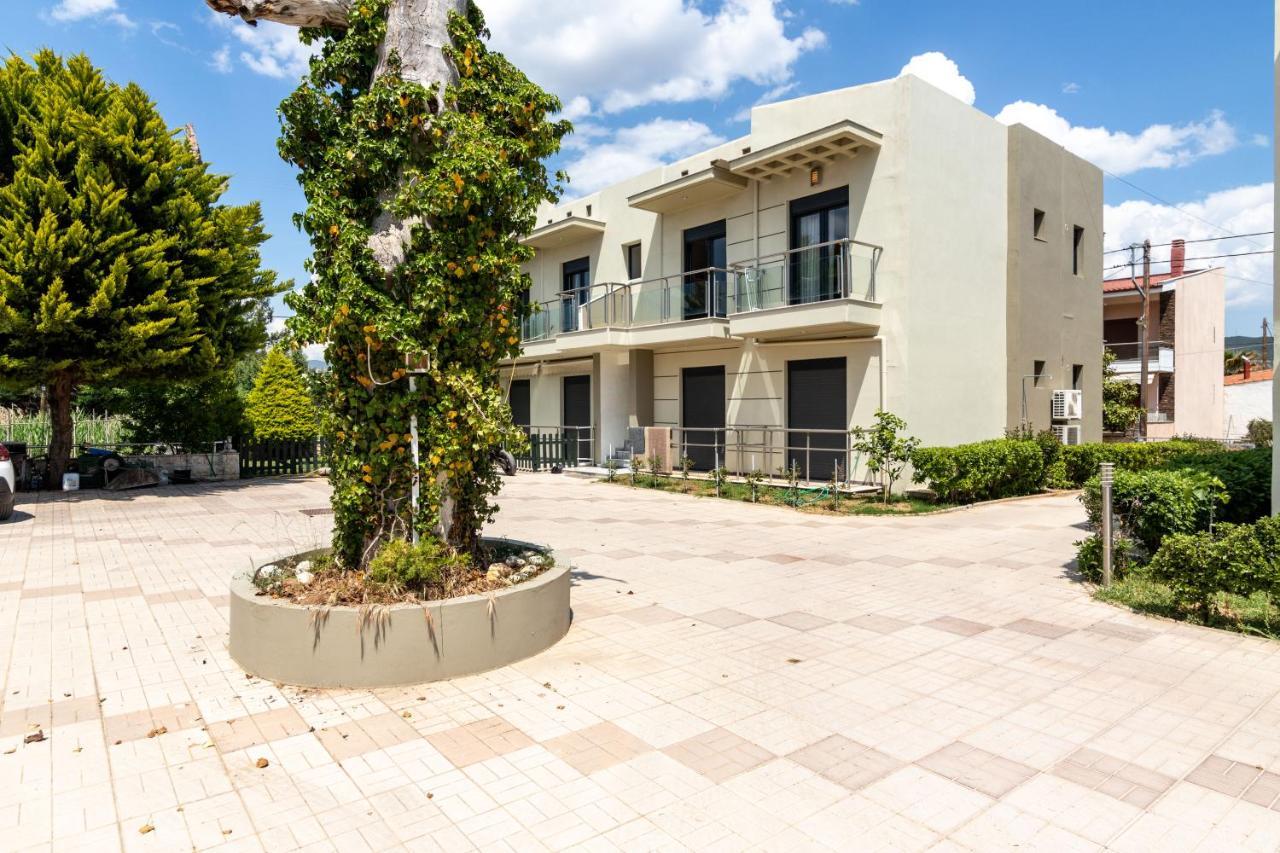 גראקיני Apartamento De Angel מראה חיצוני תמונה
